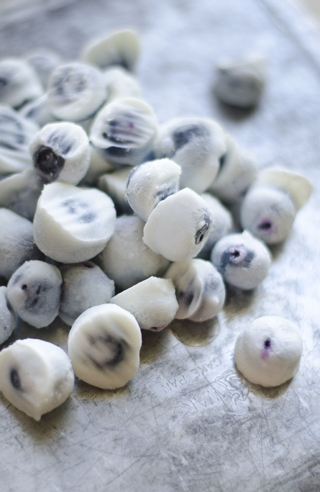 Frozen Blueberry Bites