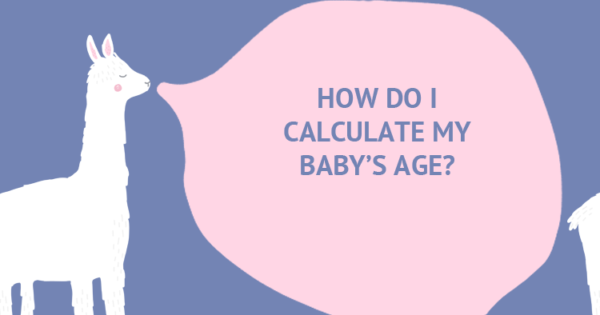 q-a-how-do-i-calculate-my-baby-s-age