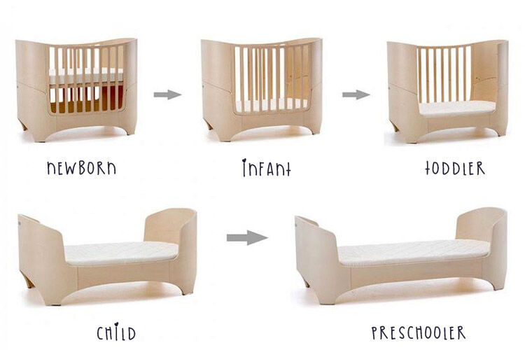 Leander cot age stages