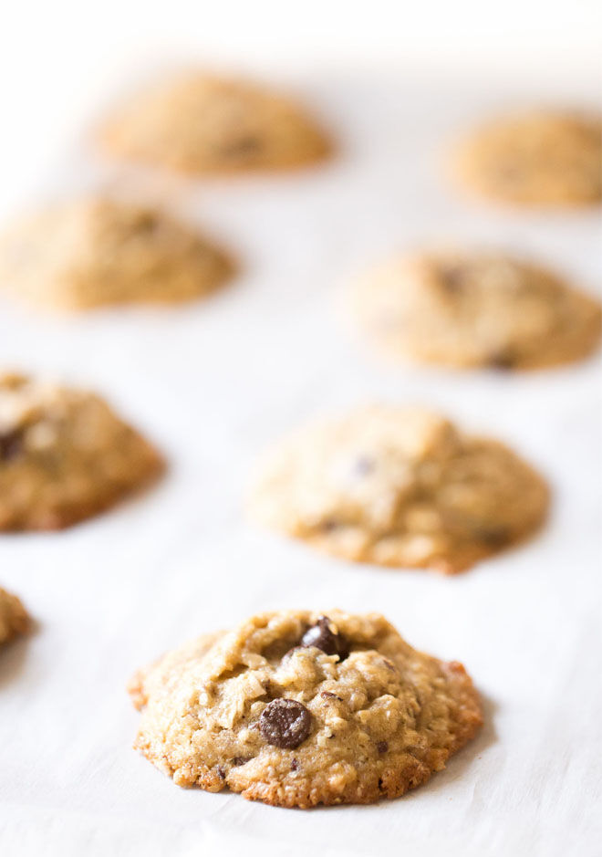 Dairy Free Lactation Cookies