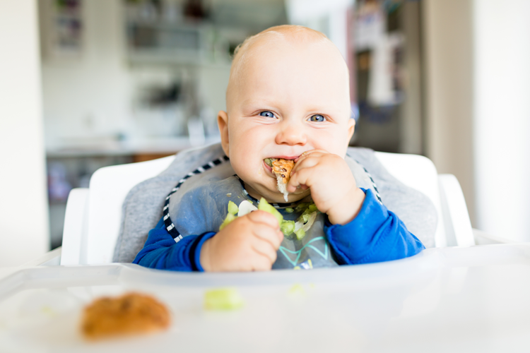 What is baby led weaning