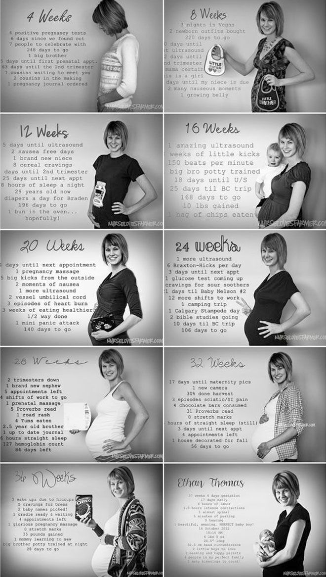 14 pregnancy week by week photo ideas: Evolution of pregnancy photos