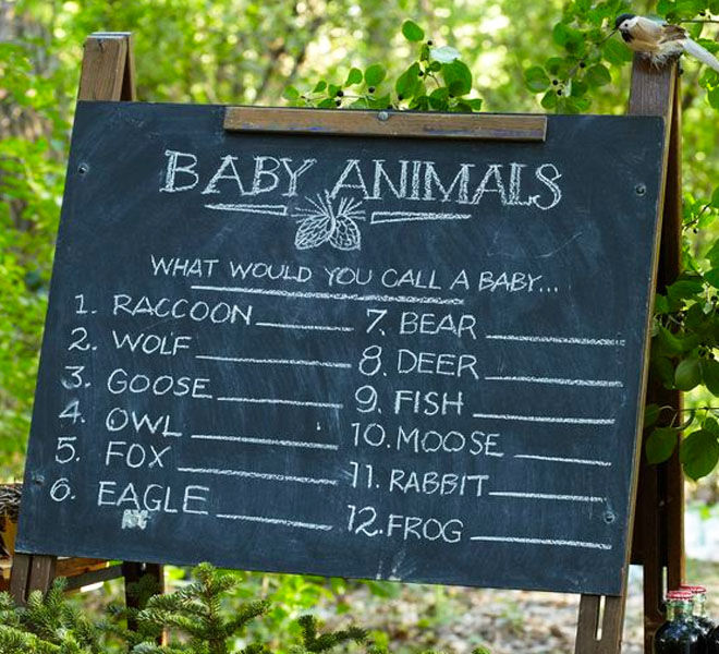 Safari baby shower game, name the baby animal