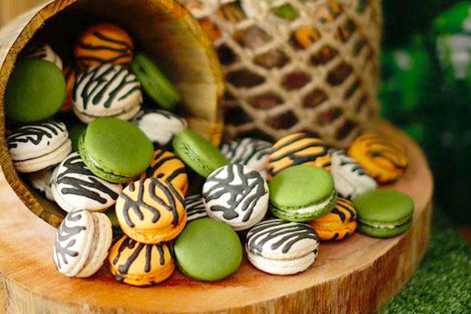 Safari baby shower macarons