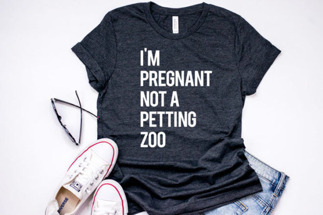 I'm pregnant not a petting zoo funny maternity t-shirt