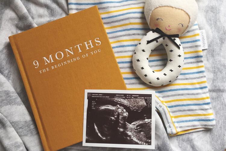 The 9 best pregnancy journals for 2018 Mum's Grapevine