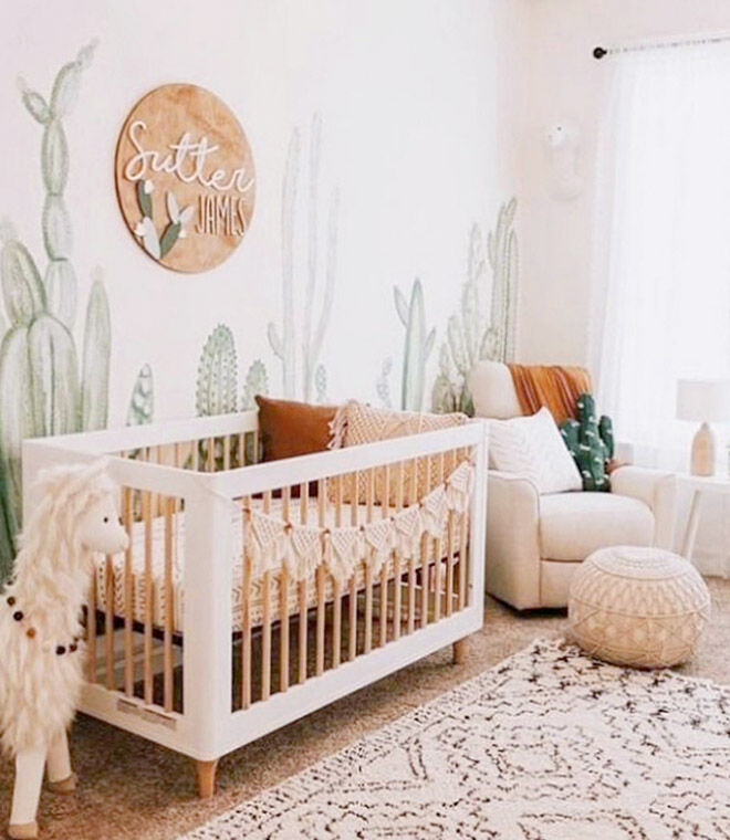 Cactus nursery theme ideas