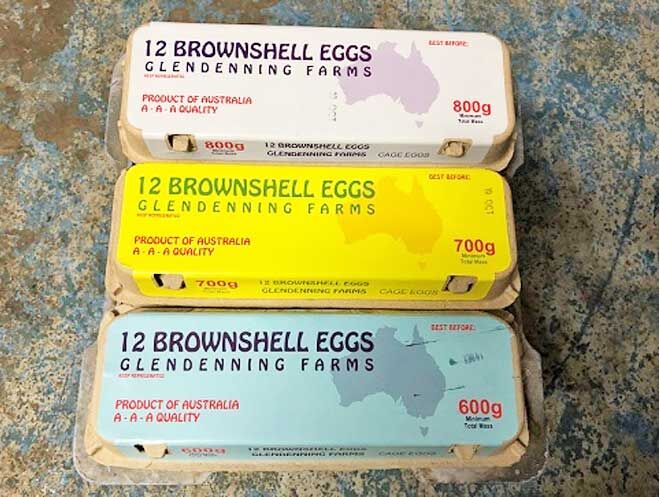 Salmonella eggs recall