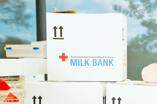 Red Cross Milk Bank