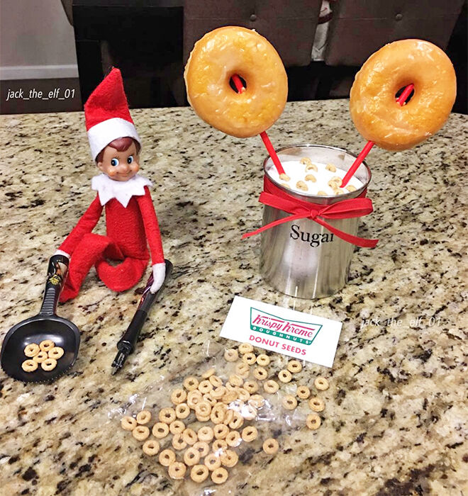 Elf on the Shelf donut seeds