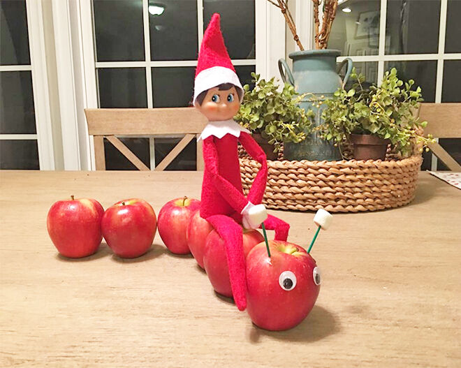 Elf on the Shelf riding apple caterpillar