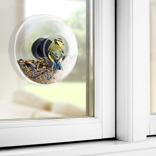 Glass window bird feeder