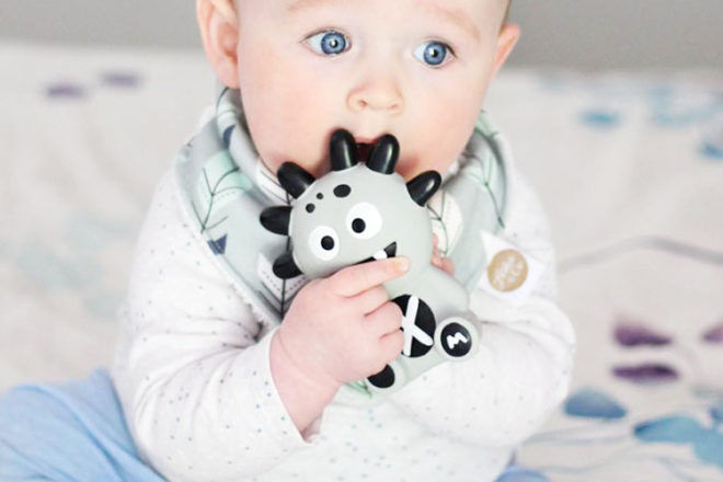 The Mibblers teethers for babies