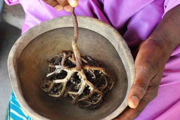 11 birth traditions from around the world | Mum's Grapevine