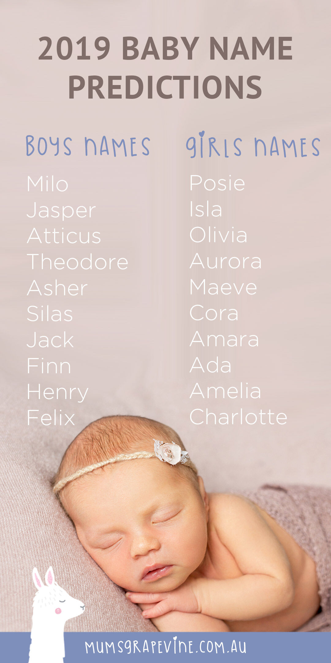 Baby name predictions