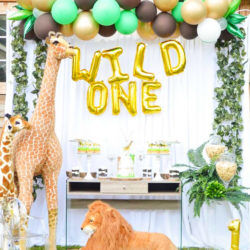 How to throw a wild one first birthday party