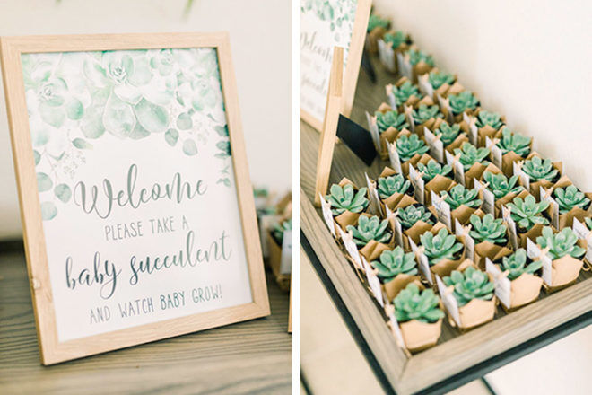 Boho baby shower favours, baby succulents