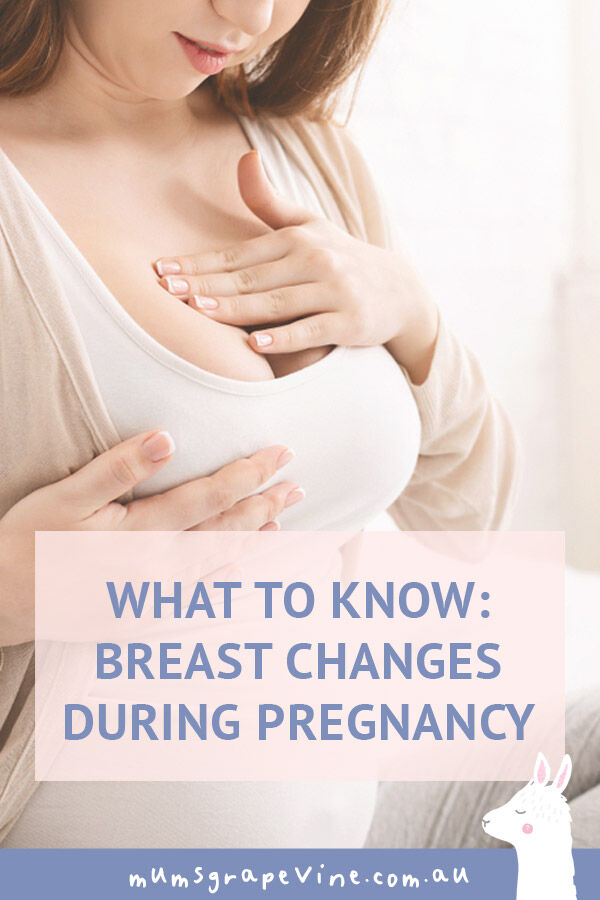 What to know: Breast changes during pregnancy | Mum's Grapevine