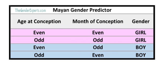 Mayan Gender Predictor