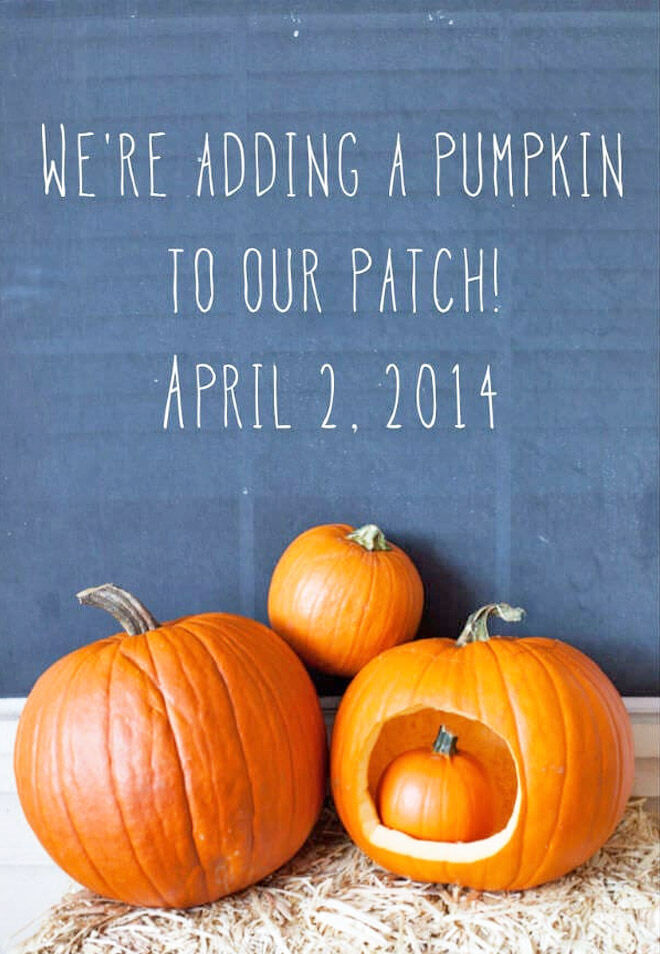 Pumpkin pregnancy announcement