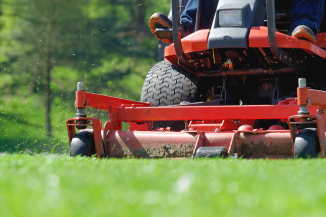 The bumping motion of a ride-on mower can help bring on labour