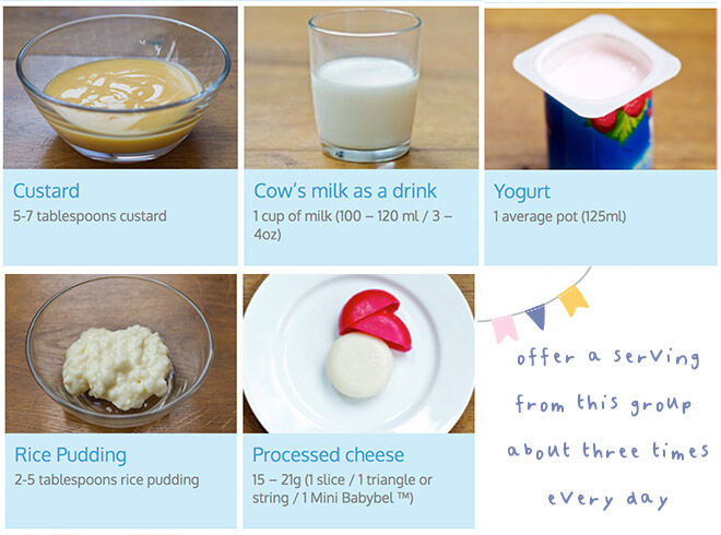 Toddler portion sizes milk and cheese