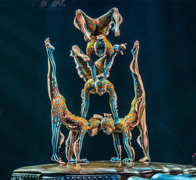 Cirque du Soleil contortion