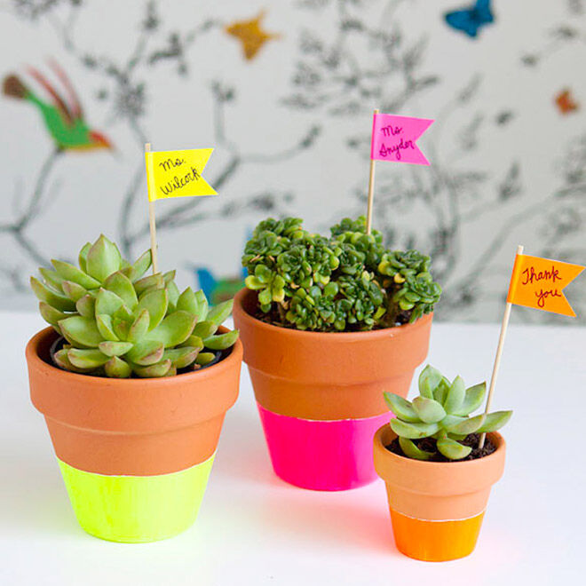 Neon dipped pots teach gift