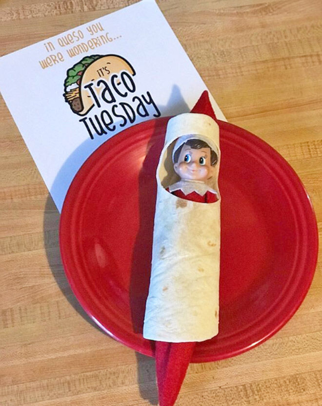 Taco Tuesday Elf on the Shelf