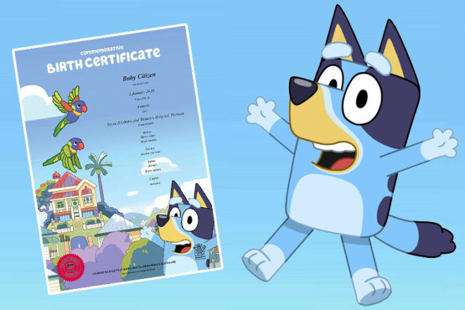 Bluey birth certificate available in Queensland