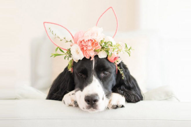 Floral Easter bonnet
