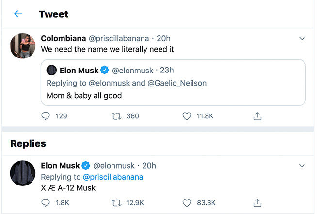 Elon Musk baby name