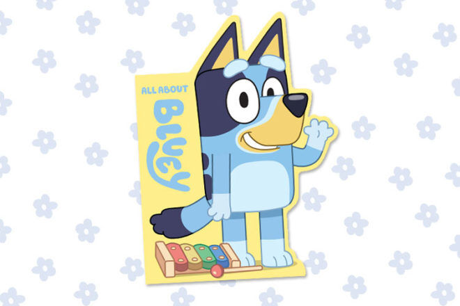 Bluey Book All About Bluey
