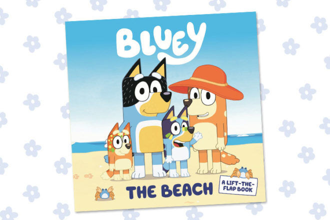 Bluey Book The Beach
