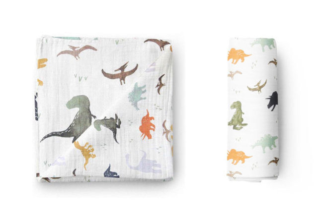 Dinosaur Toys and Gifts: Wall and Soul Dinosaur Swaddle