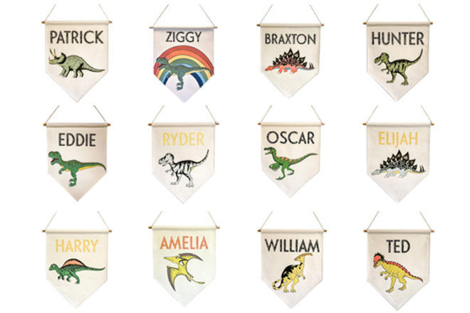 Dinosaur Toys and Gifts: Dino Raw Personalised Banners