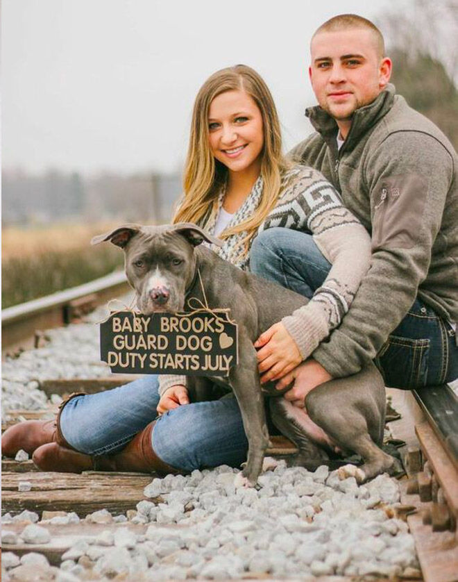 Pregnancy announcement with dog Bringing Up Brooks 