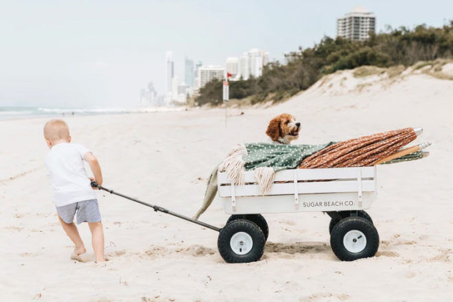 The best beach trolleys for 2020 | Mum's Grapevine
