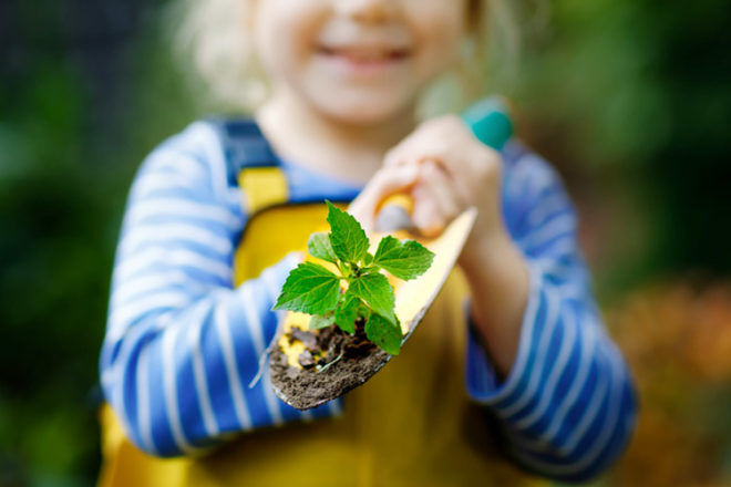 Mini forests at daycare centres improve children’s immune systems | Mum's Grapevine