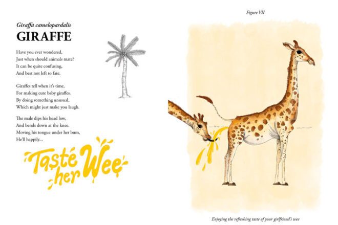 Birds and the Bees and Giraffes that Drink Wee book review