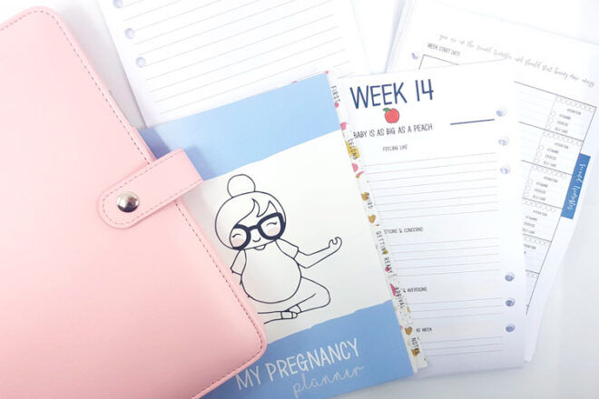 Chasing Planner Peace Pregnancy Journal
