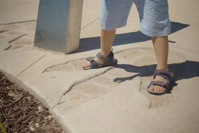 Dinosaur Park footprints