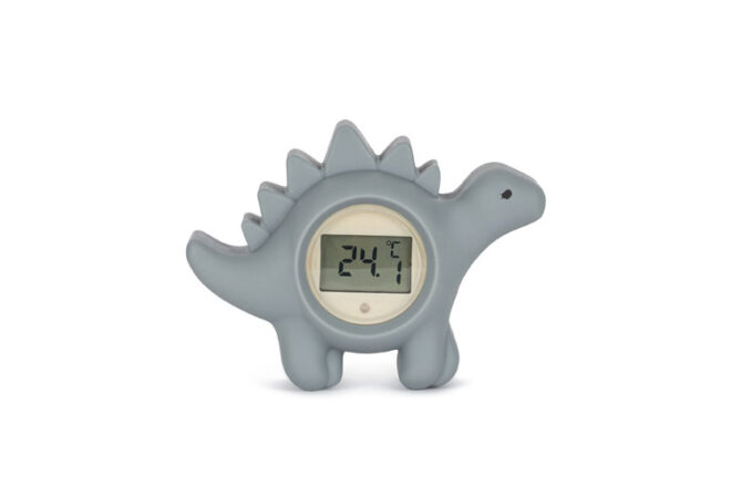 Best Room Thermometers Available in Australia