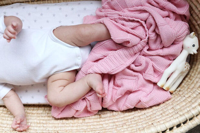 Little Turtle Baby Organic Cotton Blankets