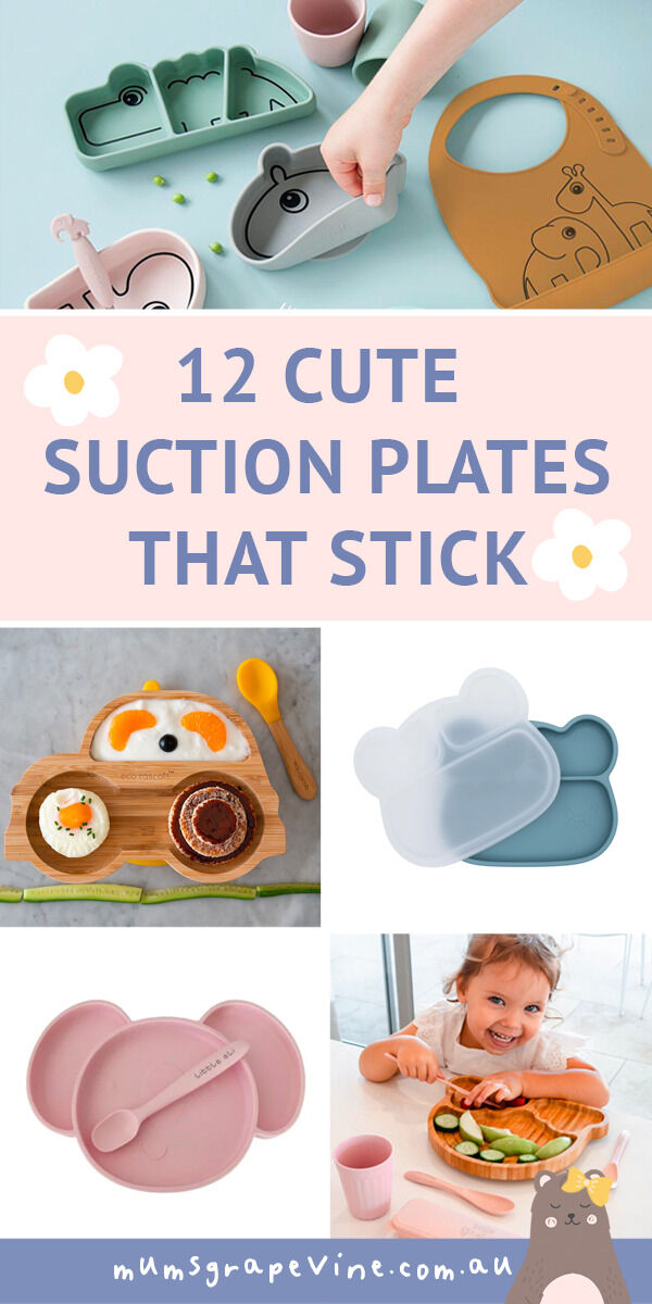 12 best suction plates that stick | Mum's Grapevine