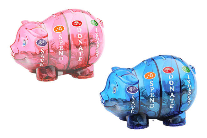 Money Savvy Kids showing colour tinted transparent Piggy Banks with dividers for different purposes in blue and pink options