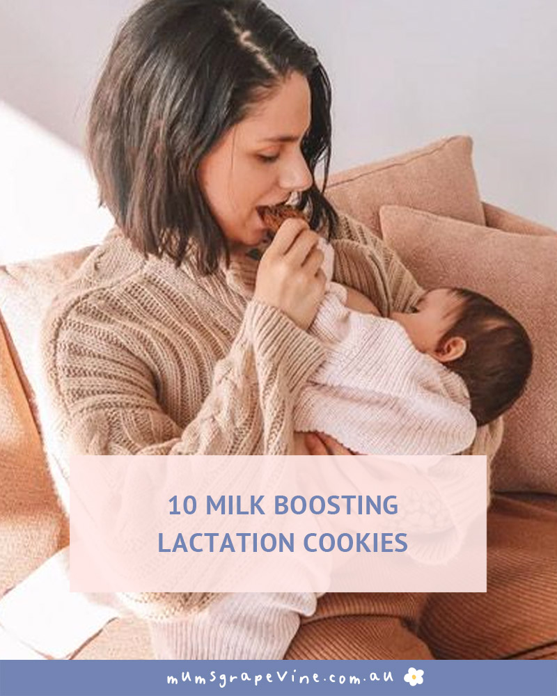 10 Lactation Cookies | Mum's Grapevine