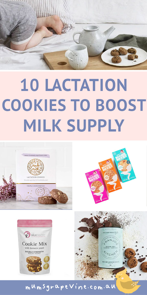 10 Lactation Cookies | Mum's Grapevine
