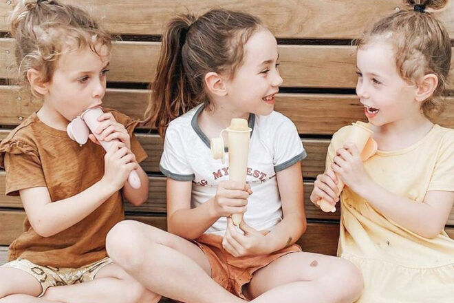 14 icy pole moulds for summer treats | Mum's Grapevine