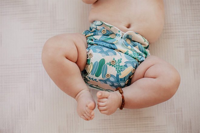 Baby BeeHinds Reusable Cloth Nappies